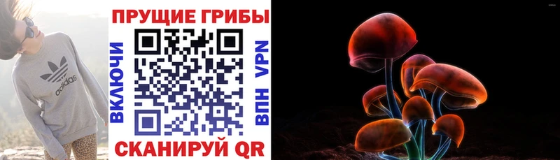 Псилоцибиновые грибы GOLDEN TEACHER Ефремов