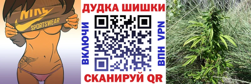 Шишки марихуана ГИДРОПОН  Ефремов 